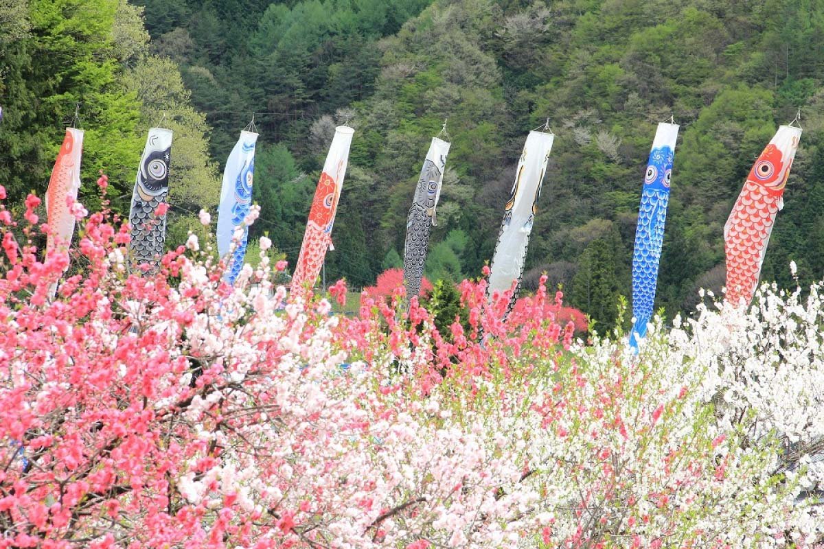 🌳 오야마 종합공원 이미지 6